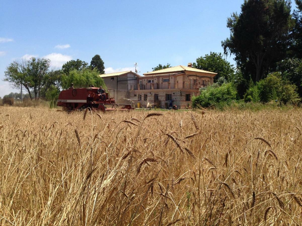 Don Carlo Agriturismo Di Charme Bio Villa Le Pioppe Exterior photo
